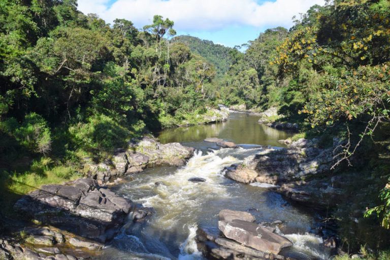 Ranomafana National Park, the tropical rainforest – silver-travellers.com