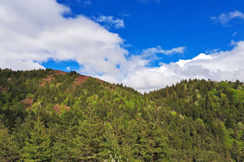 Puy de Vache