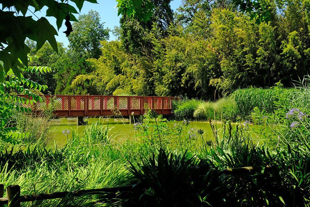 le Jardin des Plantes