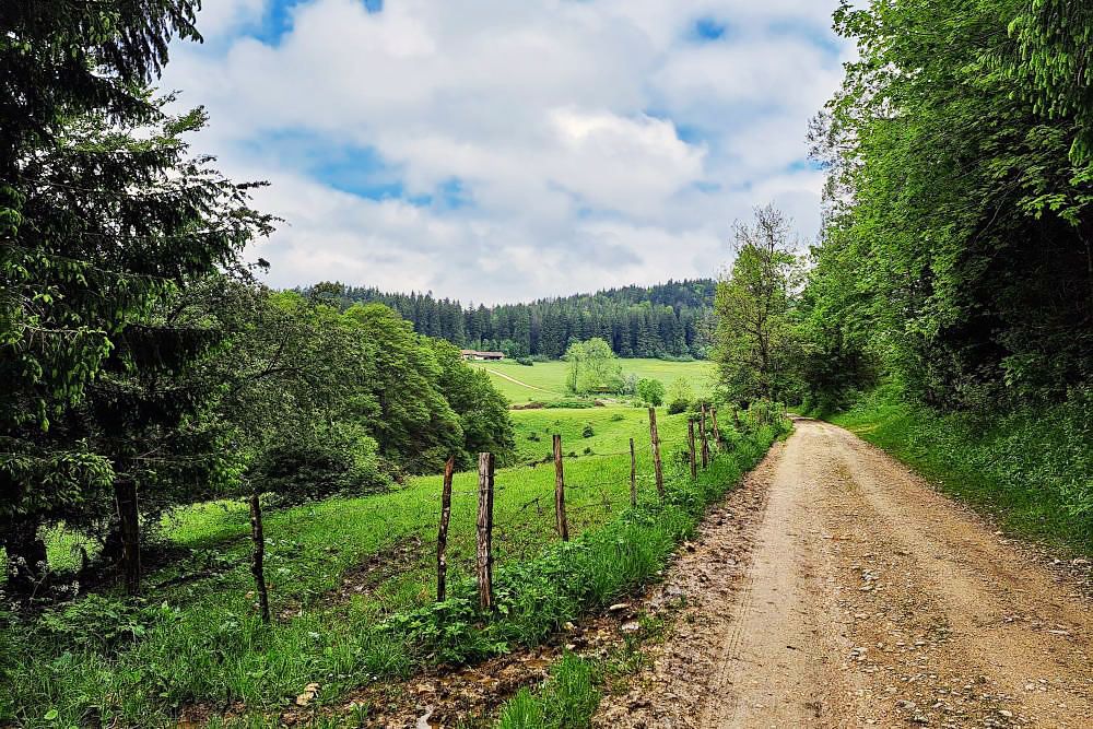 Hiking trail