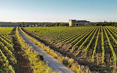 Gastronomic delights along the wine routes in Zamora