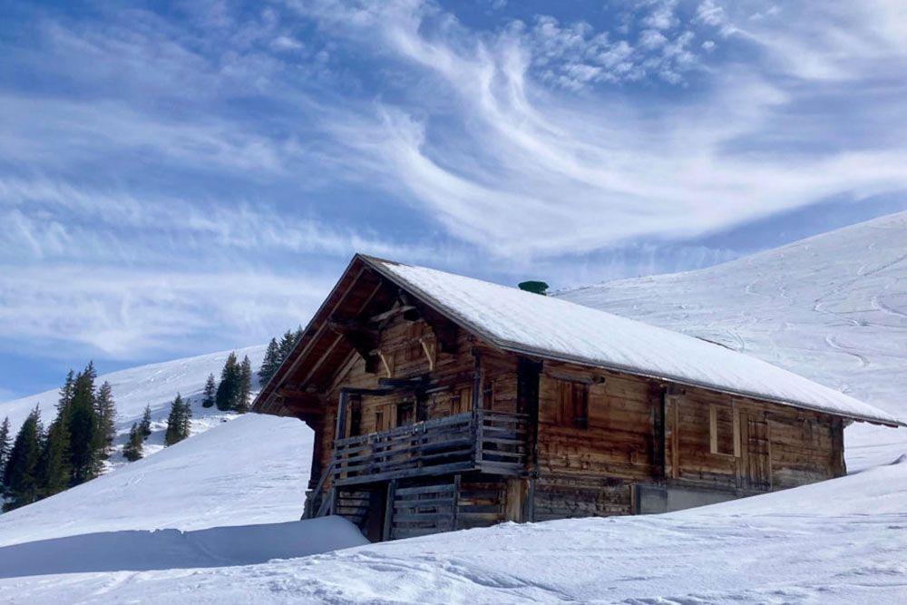 Shed in Lenk