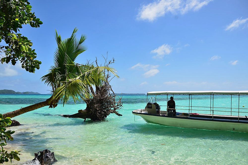 Boat diving in Palau