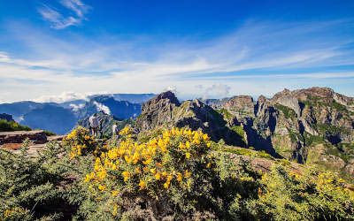 Madeira: Where nature and culture converge