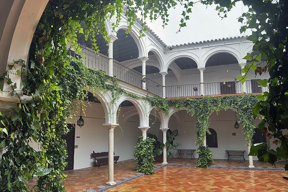 Patio in Carmona