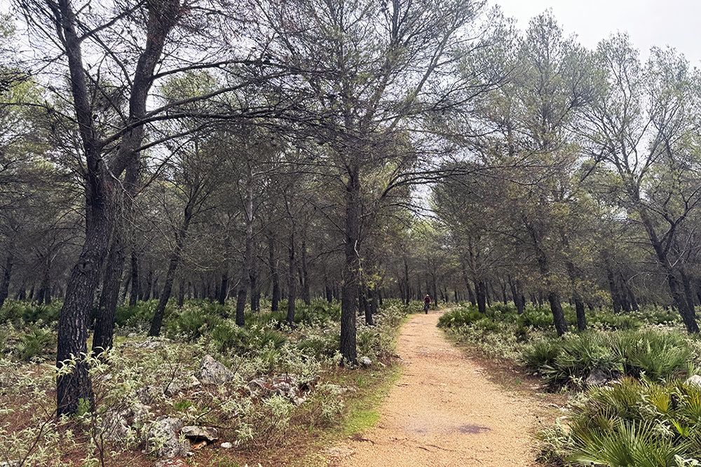 Cycling along the Caminos de Pasión