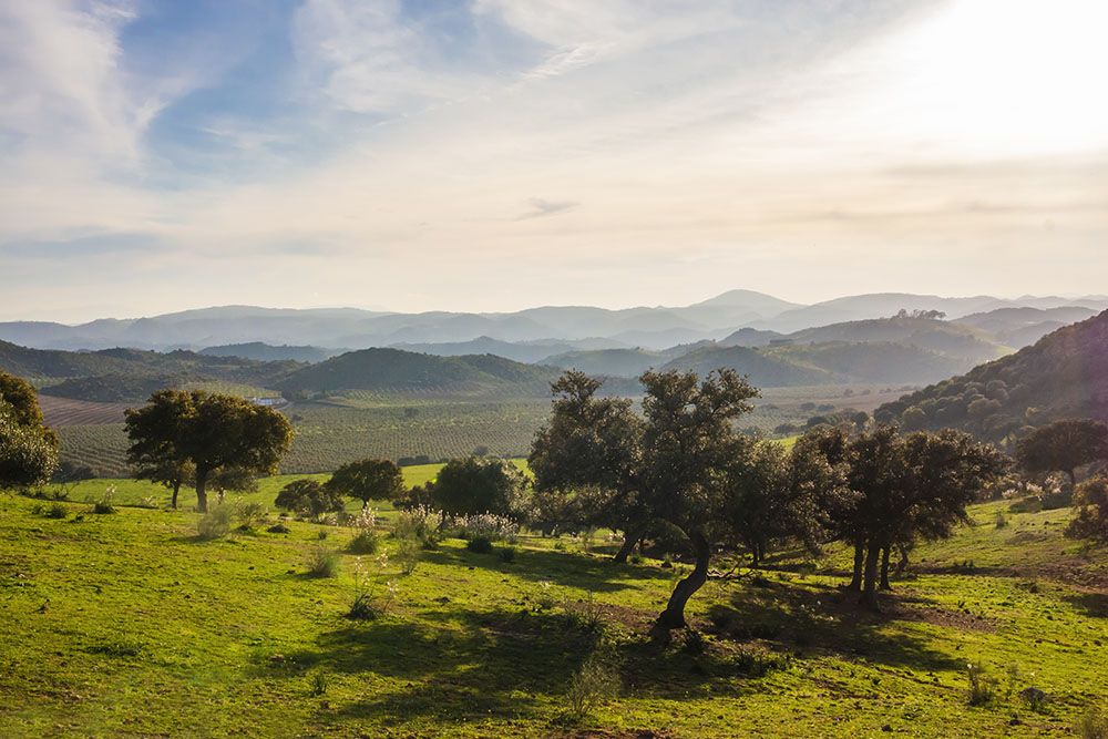 Nature along the Caminos de Pasión