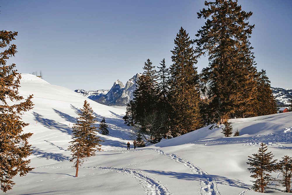 Snowshoeing