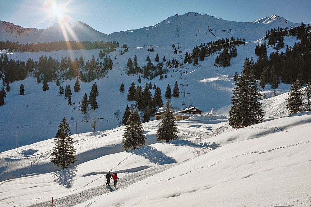 Snowshoeing