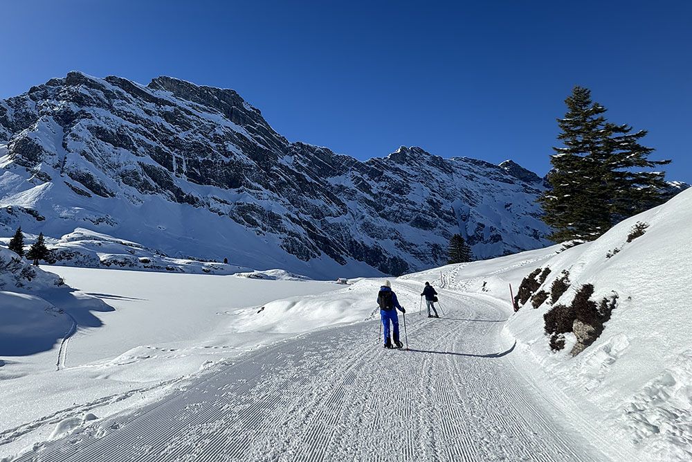 Snowshoeing