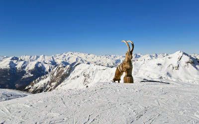 Winter sports in Les Menuires: Optimal skiing pleasure